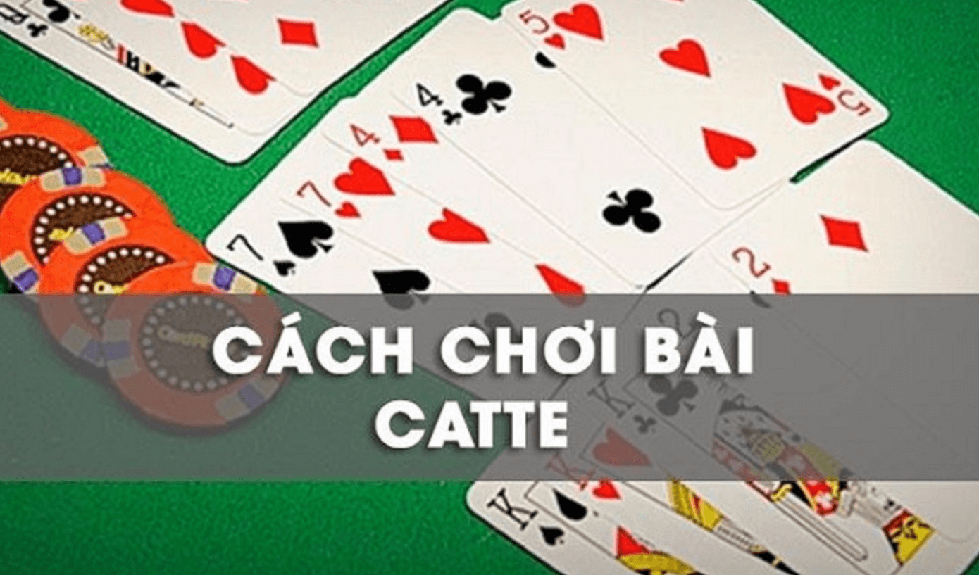 Cách chơi bài Catte Top88
